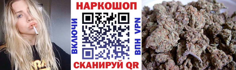APVP Армавир