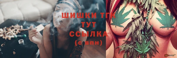 PSILOCYBIN Кукмор