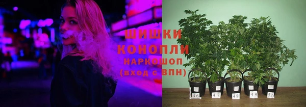 ПСИЛОЦИБИНОВЫЕ ГРИБЫ Куйбышев