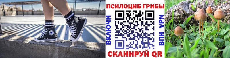 наркотики  Армавир  Галлюциногенные грибы мухоморы 