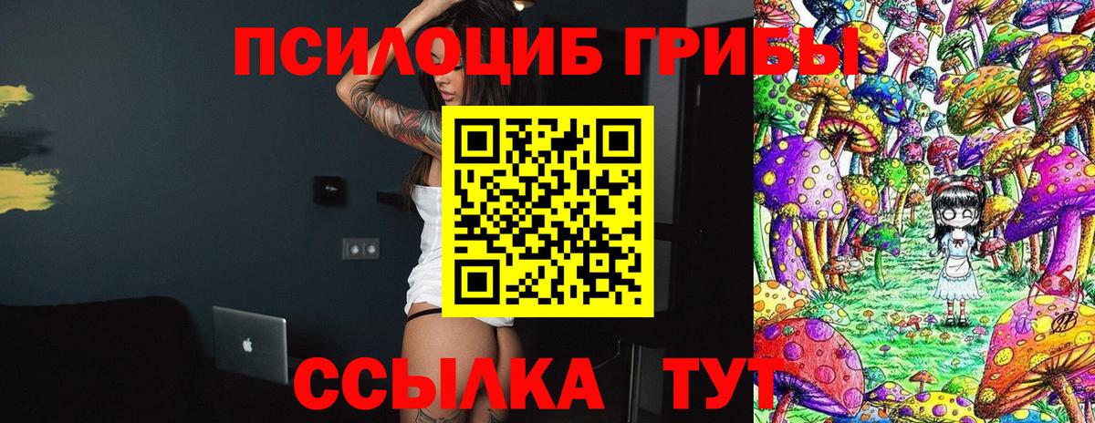 Псилоцибиновые грибы Psilocybe Армавир
