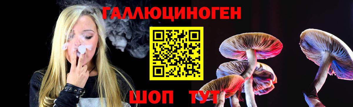 Галлюциногенные грибы Magic Shrooms  Армавир  Псилоцибиновые грибы прущие грибы 
